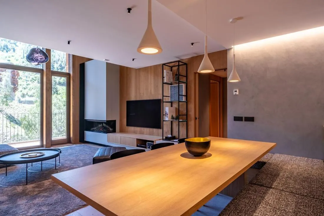 Isard Penthouse & Spa El Tarter 0*,